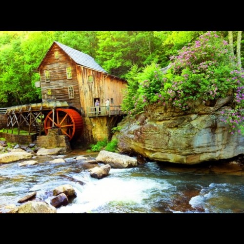 The Gristmill