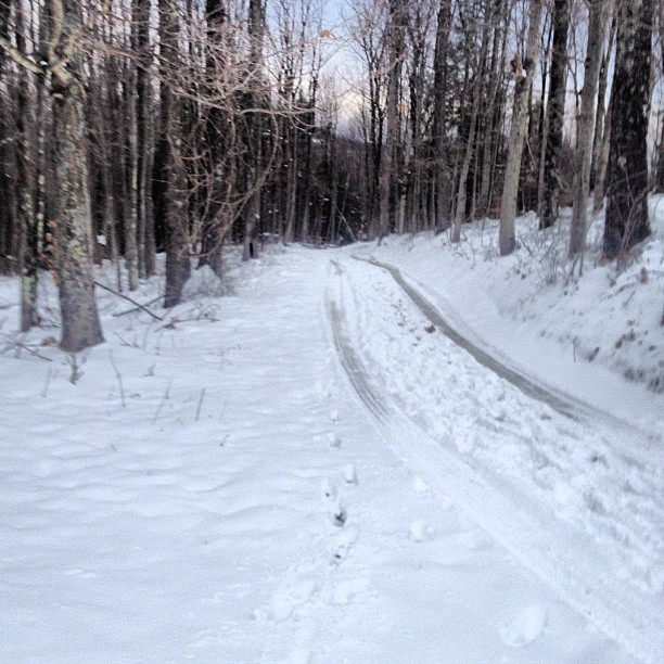 The snow came, and now it's slowly melting away. It sure looked pretty ...