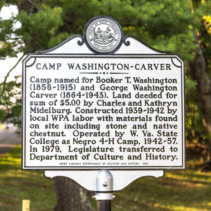 Image for Camp Washington Carver