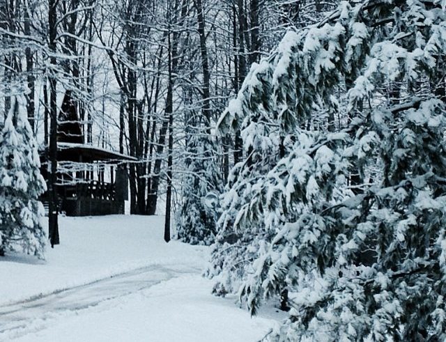 Country Road Cabin Trees Snow Beautiful Will It Be Last
