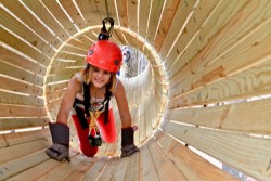 Timber Trek