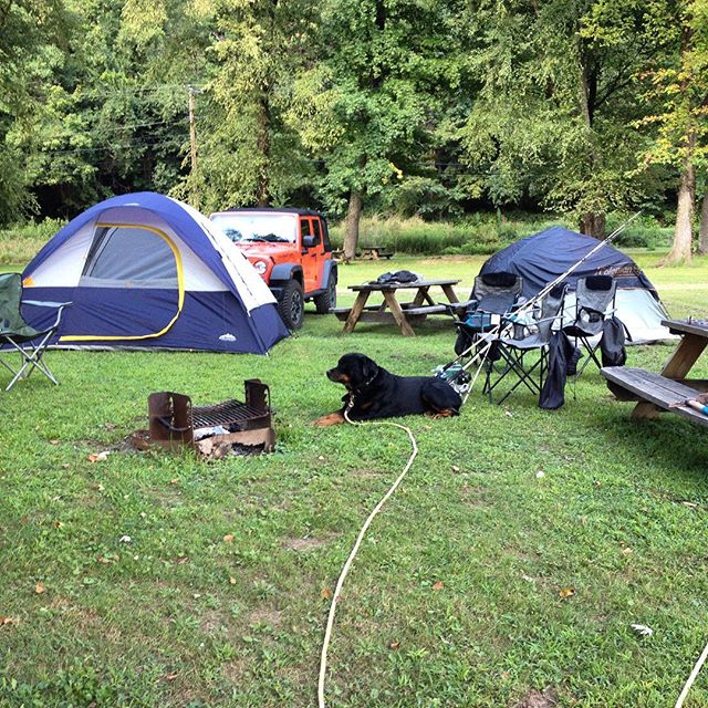 Time-to-relax️-lovecamping-jeep-rotti-adventurer-goplaces-getoutthere-ilovewv-visitwv-gotowv