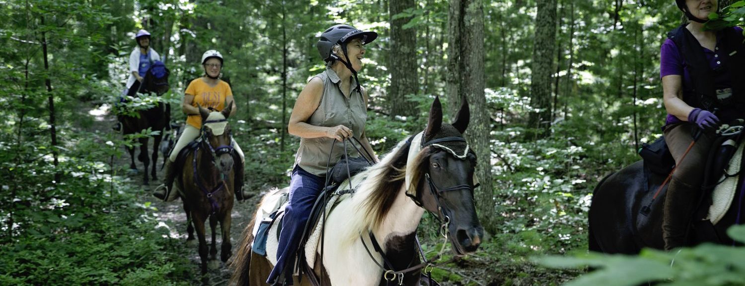 Horseback Riding Blacksburg Va at Jackie McKinney blog