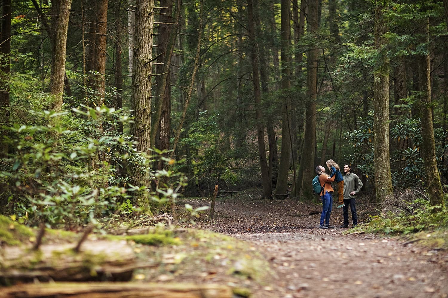 Escape to the Great Outdoors: Hiking Trails