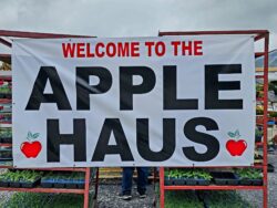 The Apple Haus