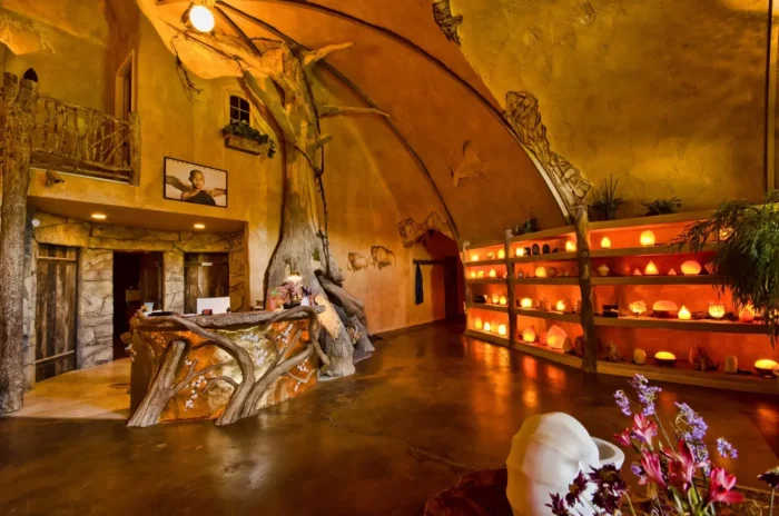 A cavernous room with a large tree and branches through the walls and glowing salt rocks on shelves -- Pomona Salt Cave entrance