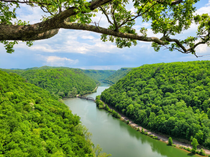 Full green scenery with bridge at Hawks Nest State Park. 