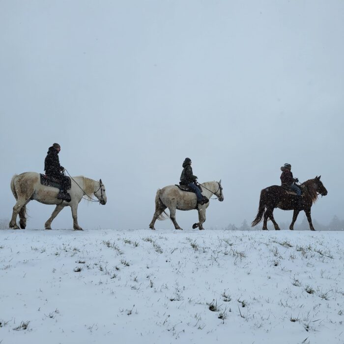 horseback riding in the snow