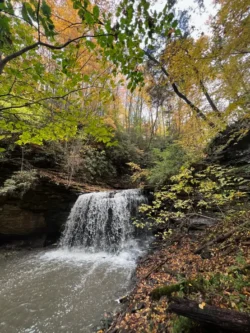 Small waterfall flows into a rocky pool surrounded by trees with early autumn foliage