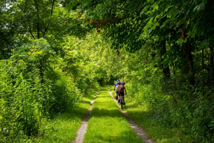 Cyclists riding along the Greenbrier River Trail surrounded by lush greenery in West Virginia