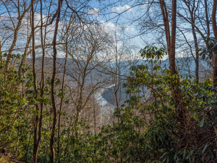 View of the New River through brush on the Castle Rock Trail