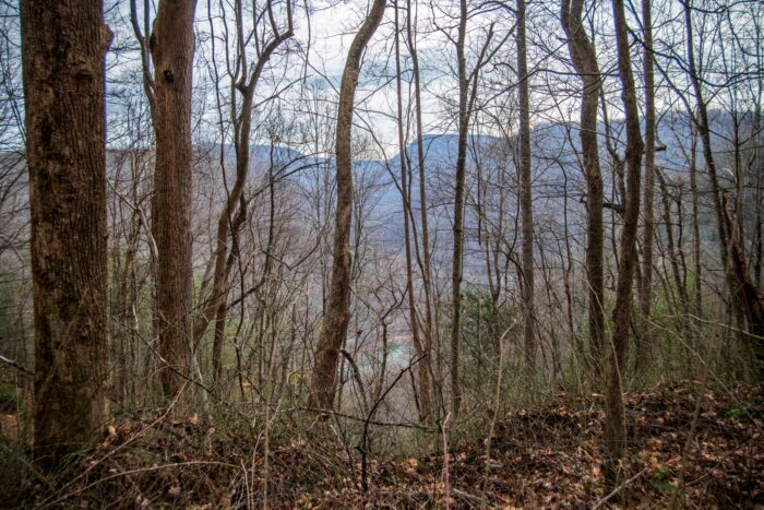 A mountainous ridge line and a speck of a blue from the New River peeking out from barren trees