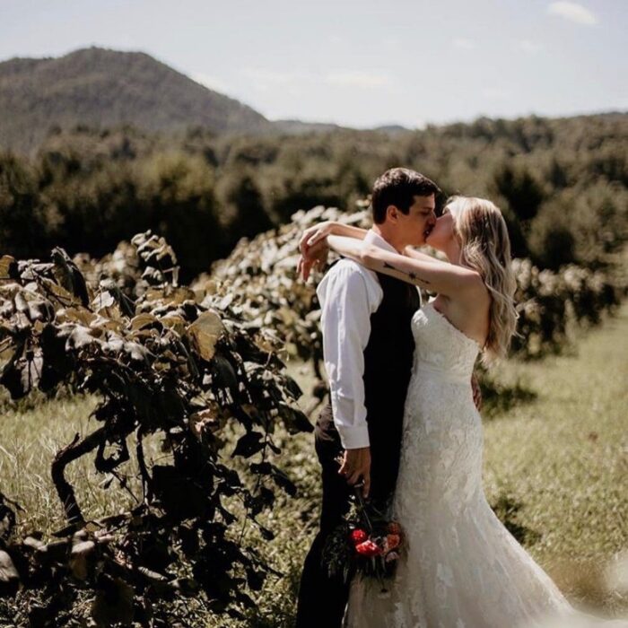 Bride and Groom sharing a kiss in front of grape vines at Kirkwood Winery