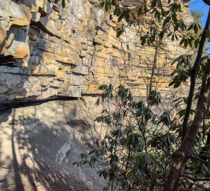 A rocky cliff face