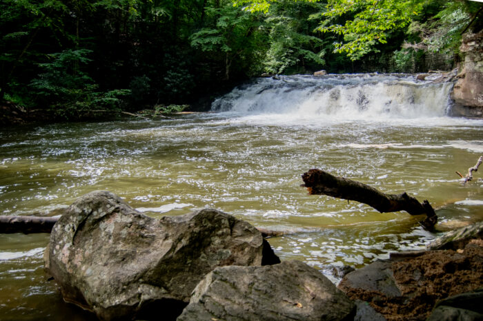 Waterfall rushing in a forested creek
